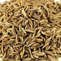 Cumin