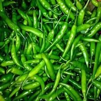 Green Chilly