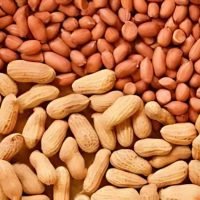 Peanut